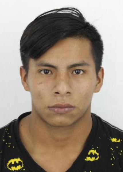 Aristoteles apiquei jempekit