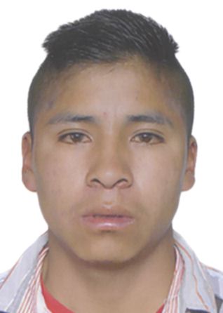 Armando taype taipe