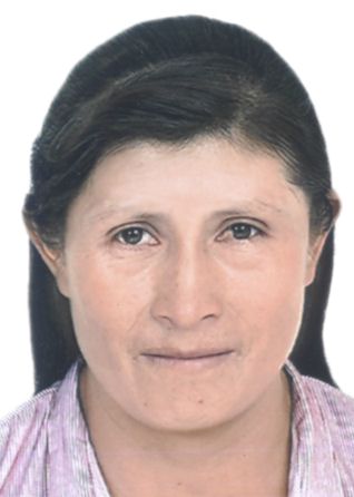 Aurella guadaÑa valdivia