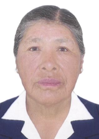Bacilica Yquiapaza De Olanda