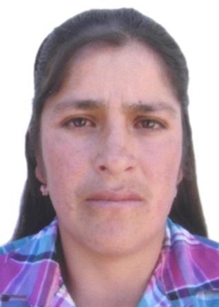 Belina ana julca vasquez