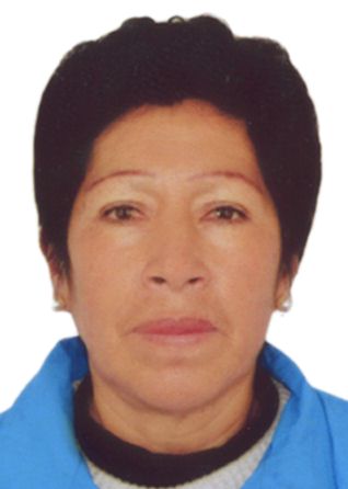 Benjamina angelica hualcas usquiano