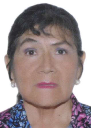 Bertilde Georgina Cabrera Colquicocha