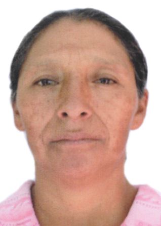 Brigida Benites Medina