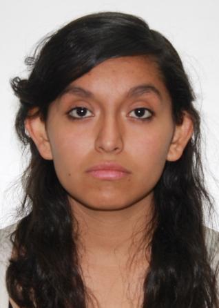 Carmen alicia delgado angulo
