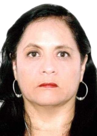 Carmen Ana Lozada Chulli