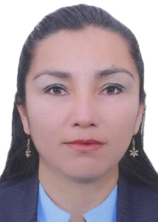 Carolina estefania silva llerena de padilla