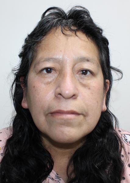 Celia beatriz castaÑeda gonzales