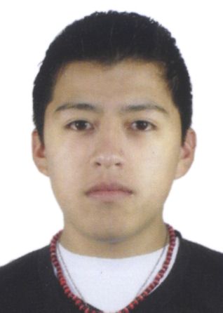 Christian Salvador Chipana Abanto