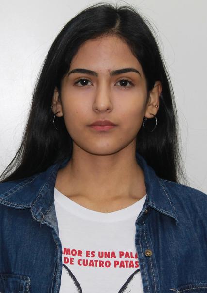 Cinthia Claudia Mariela Ayquipa Rujel