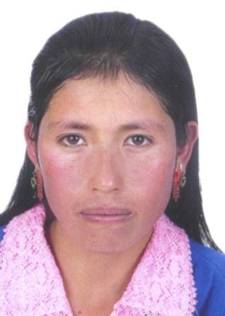 Clavelina hermunda sabino chinchay