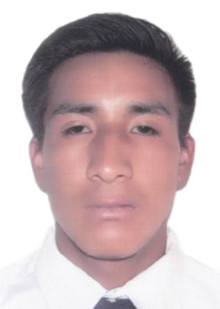 Dany lister quispe vicente