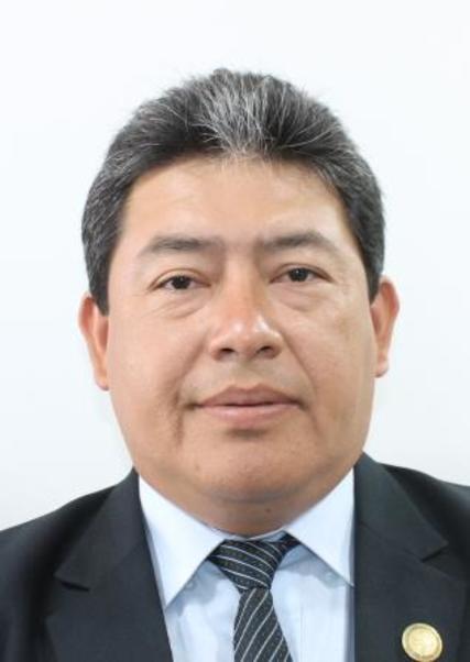 David Alejandro Silva Pinto