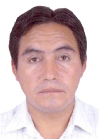 David Amadeo Surichaqui Ricci