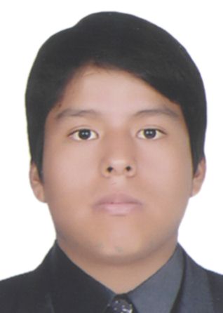 David nardo gomero mendoza