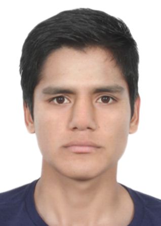 Davis Simonett Ascencio Llucho