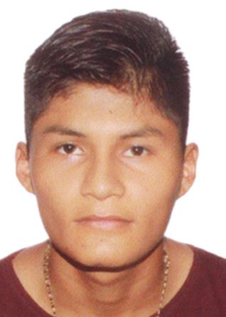 Denis Noel Llosa Furlan