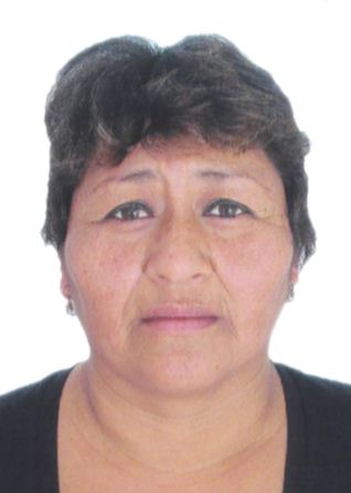 Diana Marleny Villavicencio Castillo
