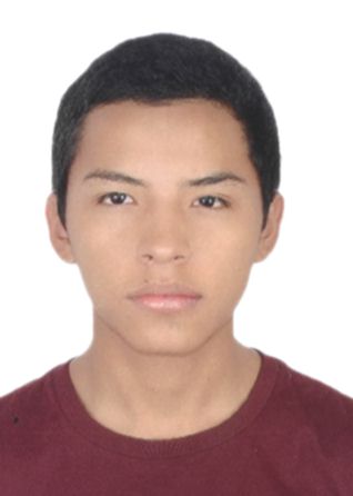 Diego dario abarca pinto