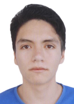 Diego Eduardo Ricapa Huapalla