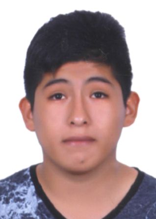Diego Sonelss Guerreros Palomino