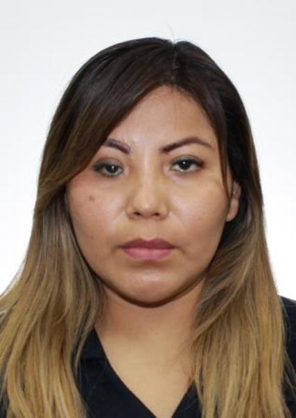 Dina Janeth Choque Luna