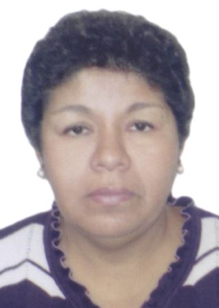 Domitila sanchez solar