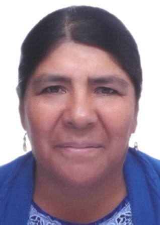 Donata Maldonado De Allccaco Vda De Allccaco