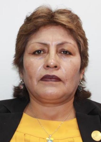 Doris nohemi baltazar pumaricra de lescano