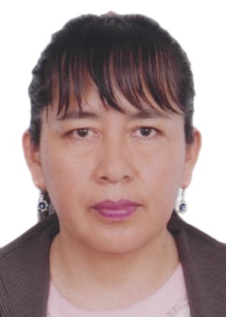 Duany gomez inga