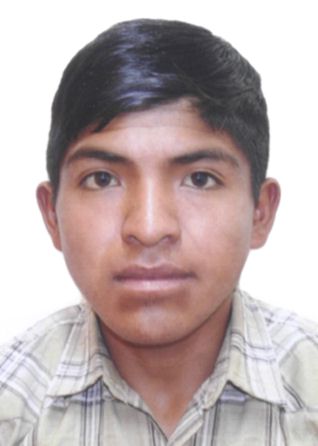 Elmer Alex Gabino Fermin