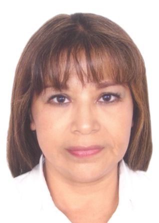 Elsa Rosaura Casamayor Tocon