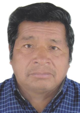 Enrique Mamani Zanga