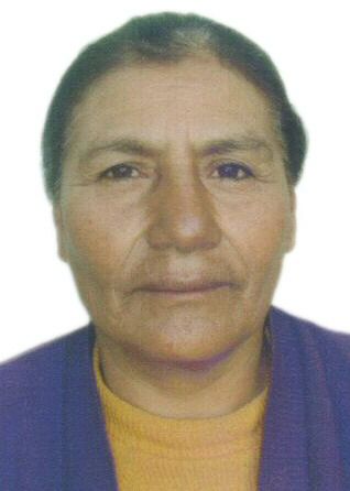 Ercilia carrillo ramos