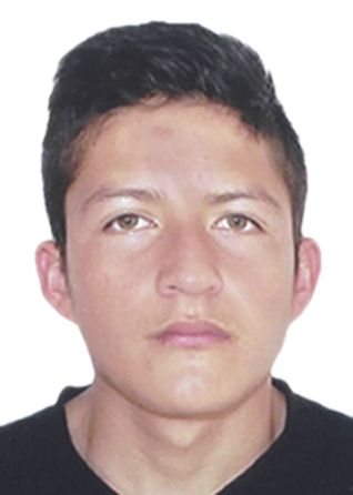 Ewart Alston Diaz Villena