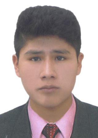 Fernando bernabe mamani gonzales