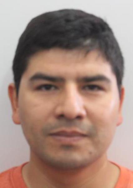 Gabriel Hernando Fernandez Davila Molina