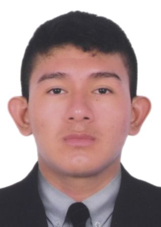Gines Gonzalo Ginocchio Asipali