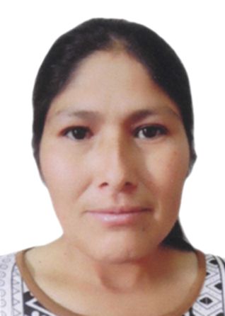 Gladys luz merida postigo
