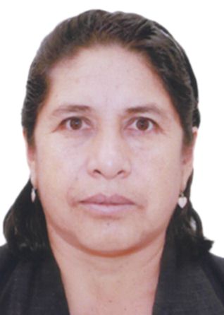 Guillermina alfaro roncal