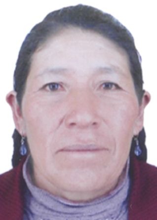 Guillermina Fernandez De Illpa