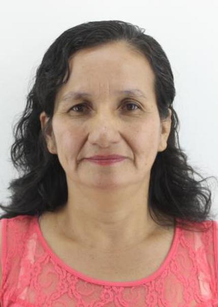 Haide vilchez castillo