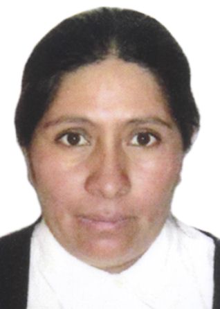 Ines victoria cayo cardenas