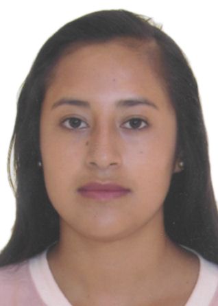 Ircef Diana Del Pozo Montalvo