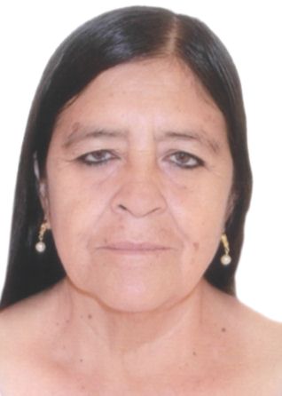 Iris violeta villalobos bazan de cabanillas