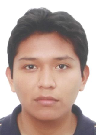 Jesus oswaldo palomino mamani