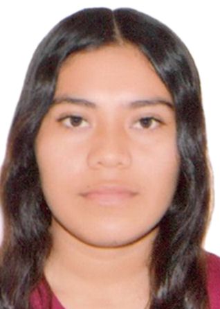 Johanssie Lizbeth Sanchez Llaguento