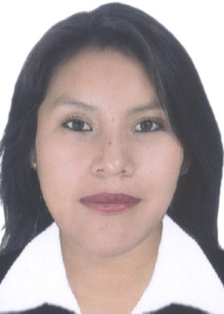 Johny Dayanesa Pocco Layme