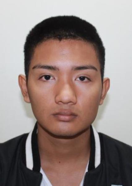 Jose Charles Mitzuy Sanchez Pizango