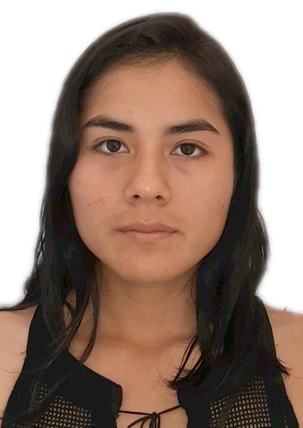 Laura katherine flores castillon